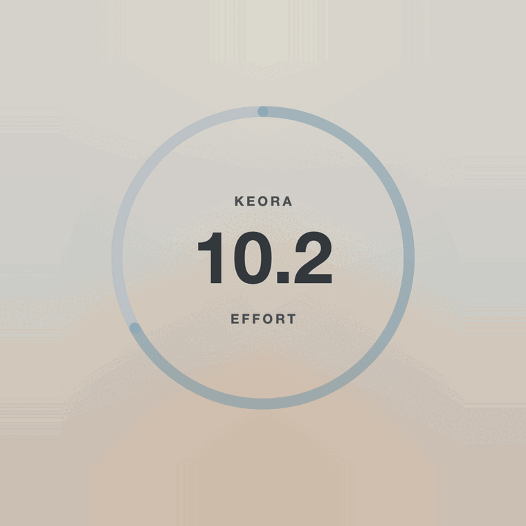 Image des données du score d'activité dans l'application KEORA Ring