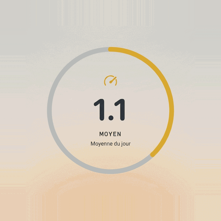 Image des données de stress en journée dans l'application KEORA Ring